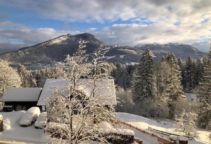 Apartment Goisernperle