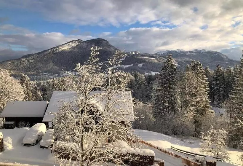 Apartment Goisernperle