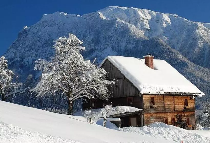 Apartment Goisernperle