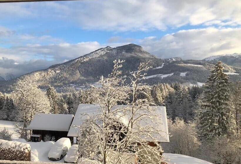 Apartment Goisernperle