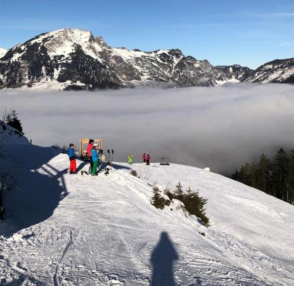 Apartment Goisernperle