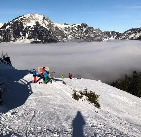 Apartment Goisernperle