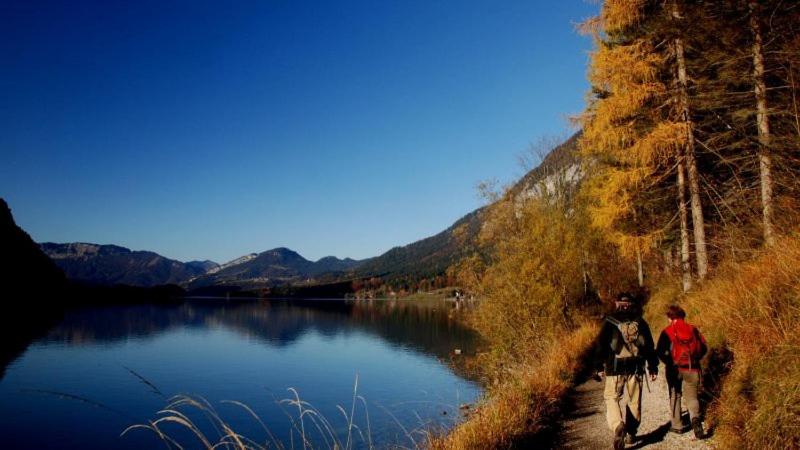 Apartment Goisernperle