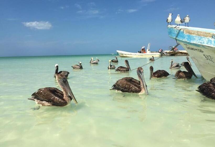 Casa Hridaya Hotel Boutique