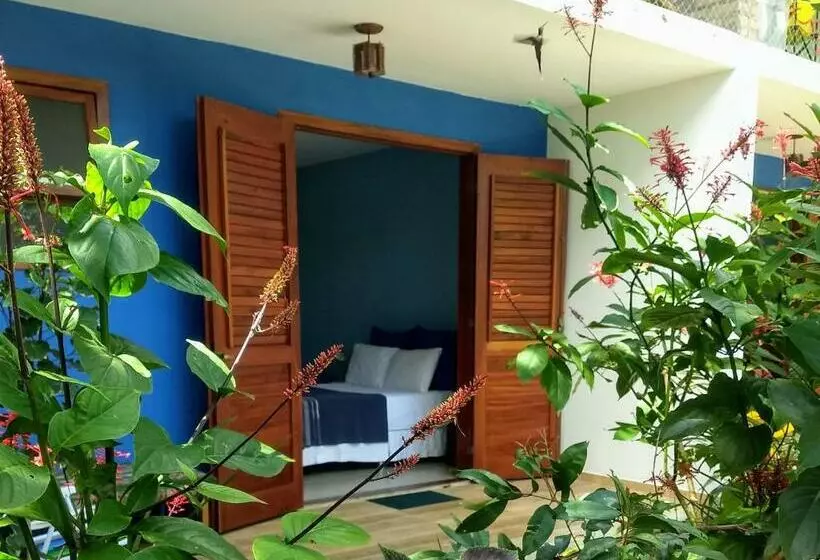 ベッドアンドブレックファースト Pousada Casa Viva A Vida