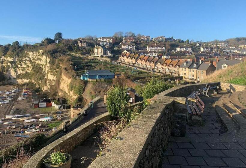 Haslemere   Beer Devon