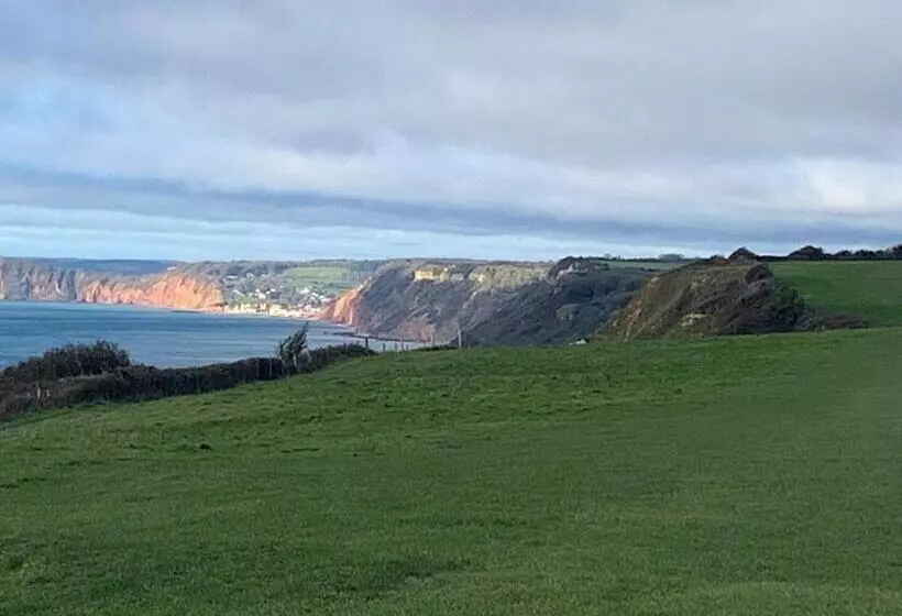 Haslemere   Beer Devon