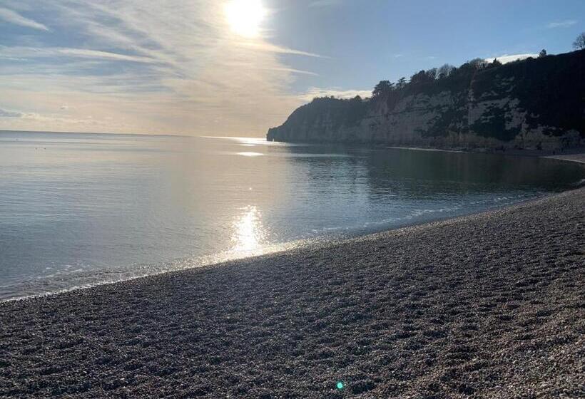 Haslemere   Beer Devon