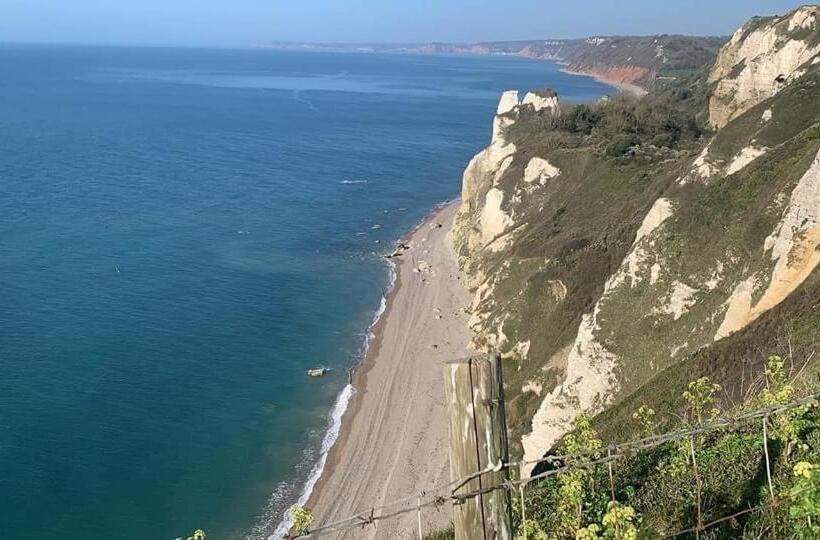 Haslemere   Beer Devon