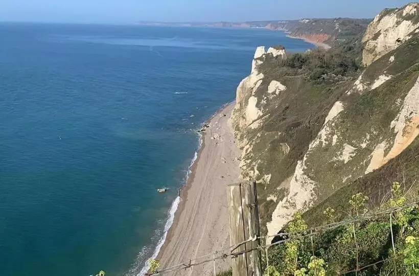 Haslemere   Beer Devon