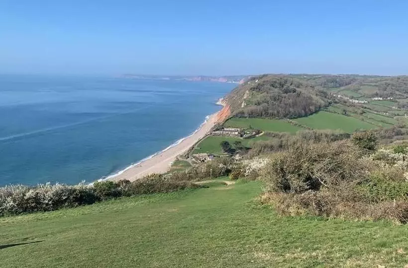 Haslemere   Beer Devon