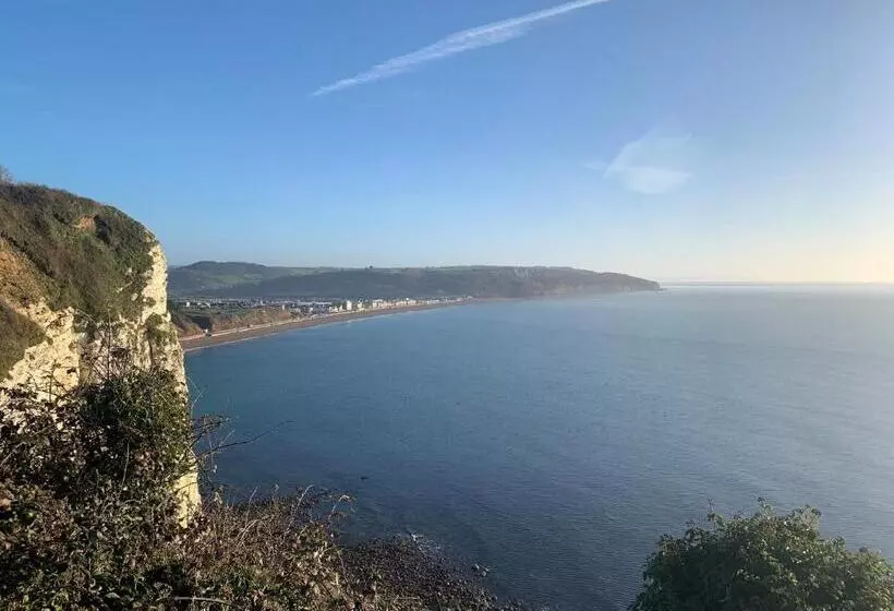 Haslemere   Beer Devon