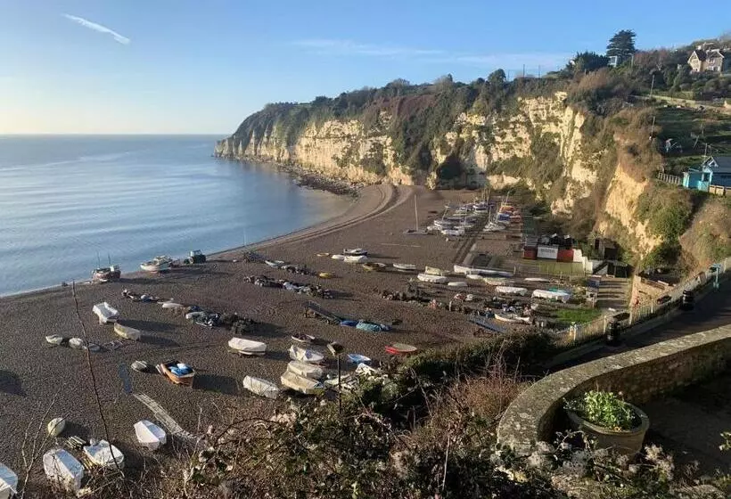 Haslemere   Beer Devon