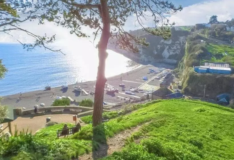 Haslemere   Beer Devon