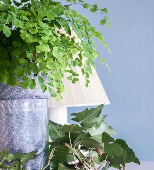 La Porta Accanto B&b