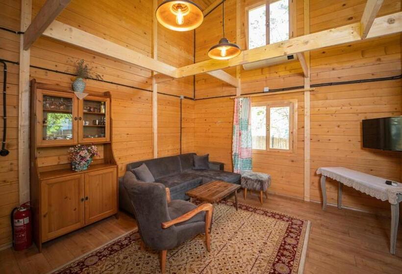 Peaceful House With Patio And Backyard In Kayakoy Fethiye