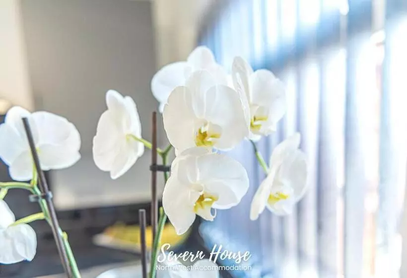 Severn Street House Serviced Accommodation