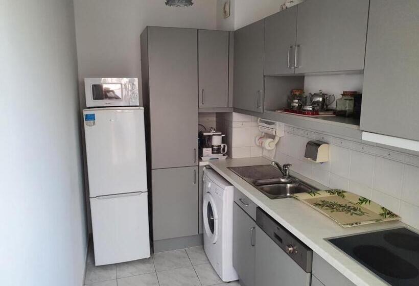 Royal Palm Juan Les Pins Appartement 53m2 Avec Terrasse Ensolleillée 5e Dernier étage 200m De La Pl