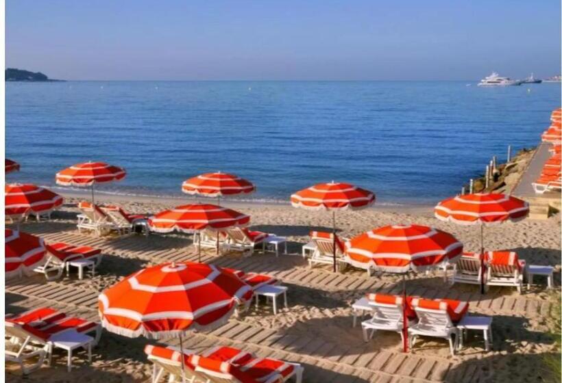 Royal Palm Juan Les Pins Appartement 53m2 Avec Terrasse Ensolleillée 5e Dernier étage 200m De La Pl