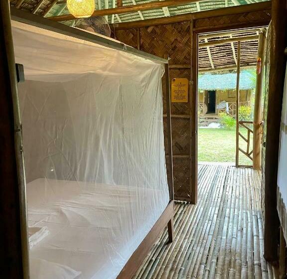 ユースホステル Back Trippers Inn