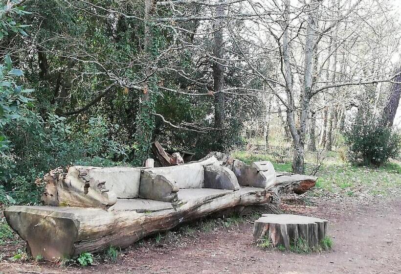 Duplex Charmant Au Port Du Crouesty Avec Terrasse   Fr 1 639 60