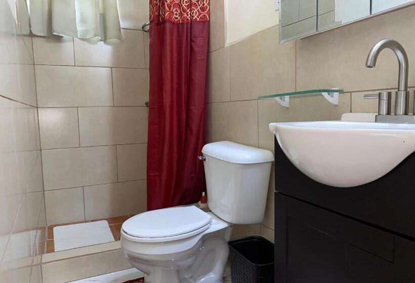 More Than Beauty Properties