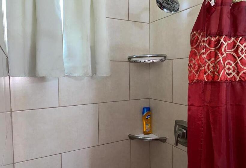 More Than Beauty Properties