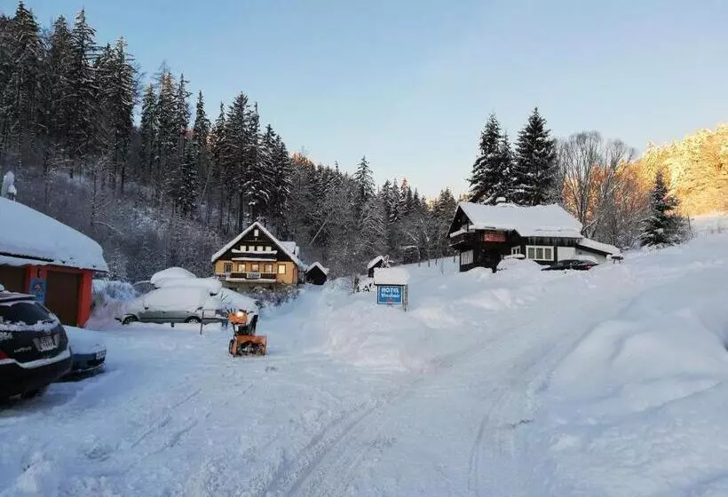 Pension Vladimír