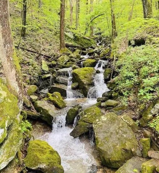 The Yellow Cottage By Tims Ford Lake