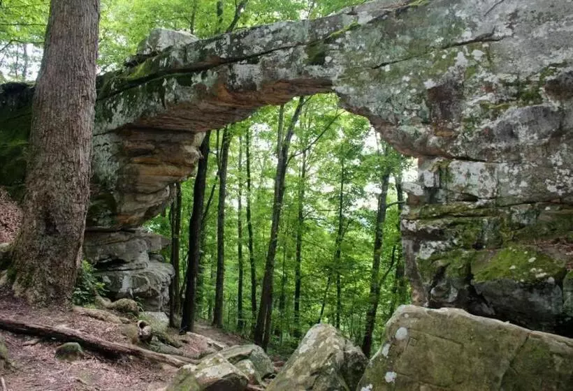 The Yellow Cottage By Tims Ford Lake