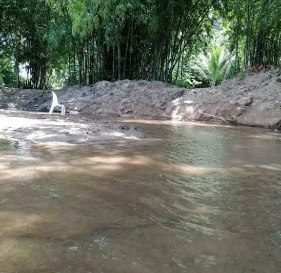 Aamiaismajoitus (B&B) บ้านย่า ณ ท่าไทร