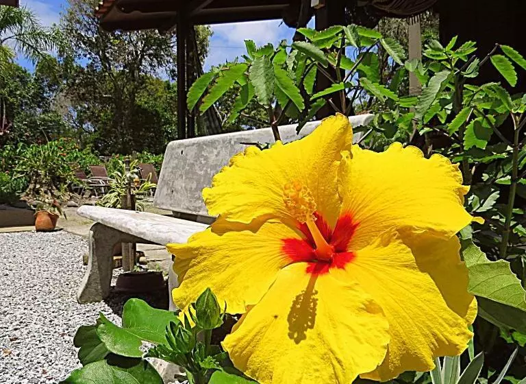 Majatalo Recanto Abayomi