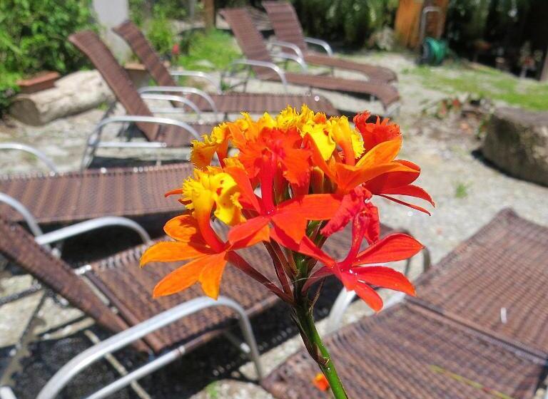 ペンション Recanto Abayomi