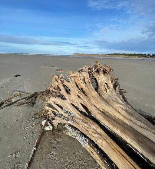 Seaside Beach Front House On The Promenade