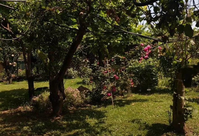 B&b Casanera