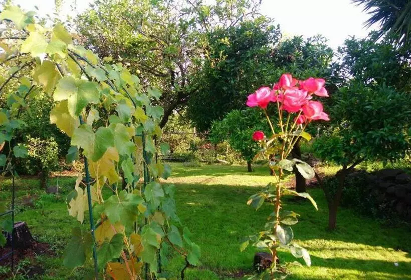 B&b Casanera