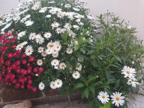 مبيت وإفطار Mari En