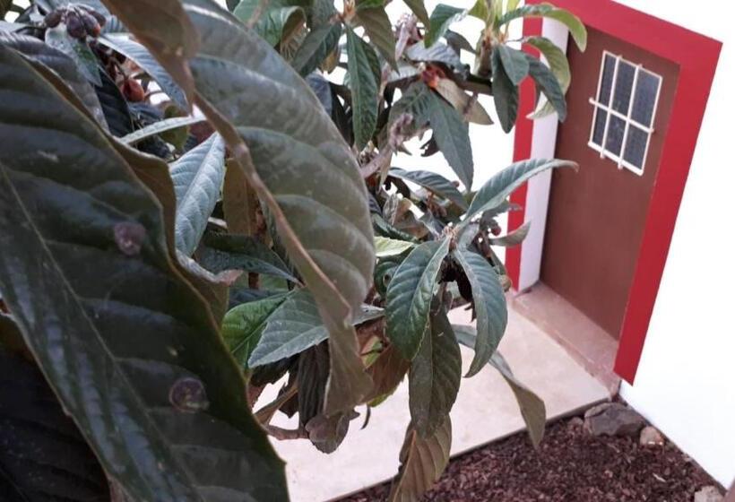 هتل Guest House Almeixar