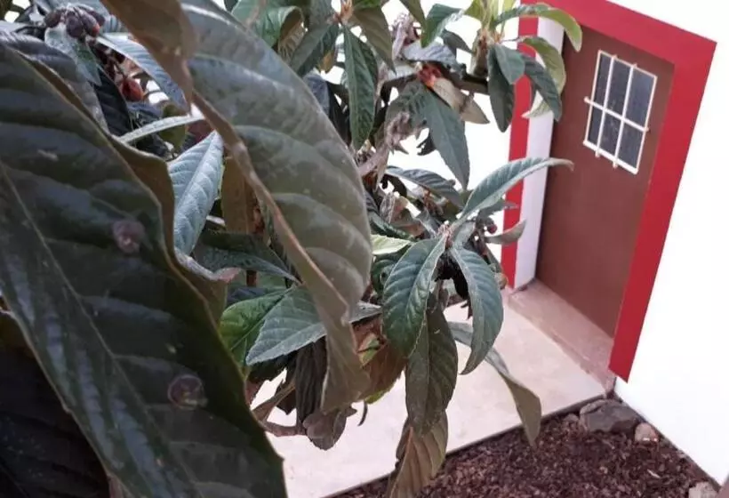 هتل Guest House Almeixar