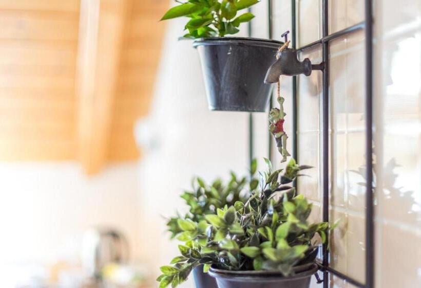 ペンション Guest House Casa Del Folletto