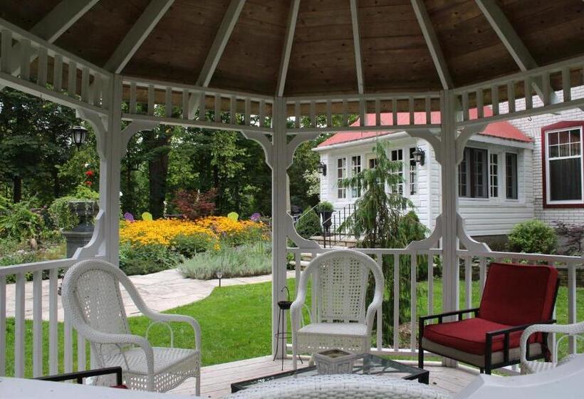 Panzió Lionheart Guest House