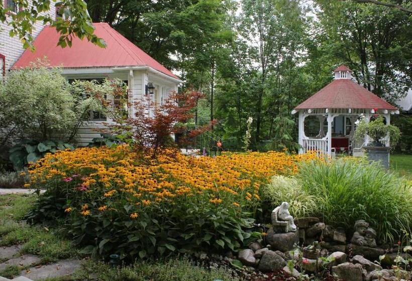 Panzió Lionheart Guest House