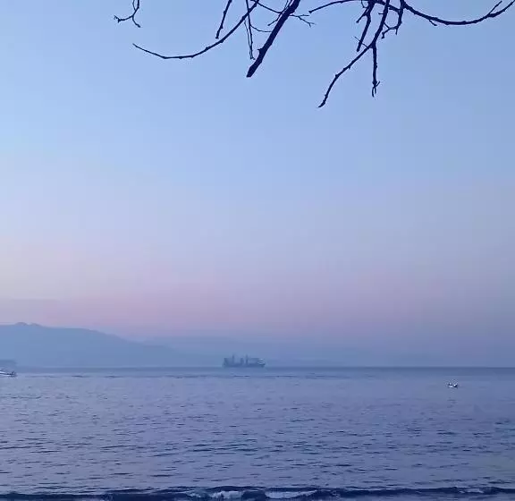 Pura Playa   Rías Baixas   Galicia   Navidad De Vigo