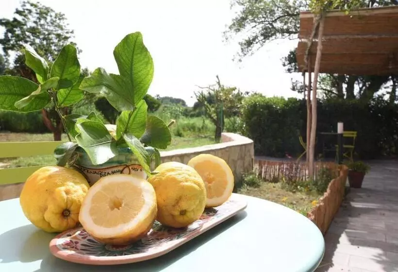 Sonnino B&b