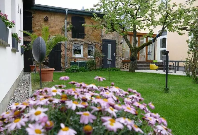 Das Ferienhaus Waren Objekt Id 12035 8