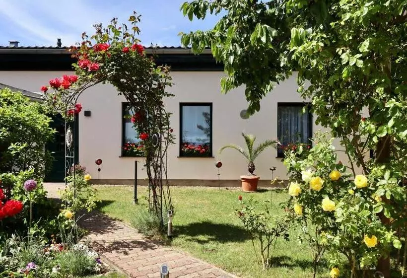 Das Ferienhaus Waren Objekt Id 12035 8