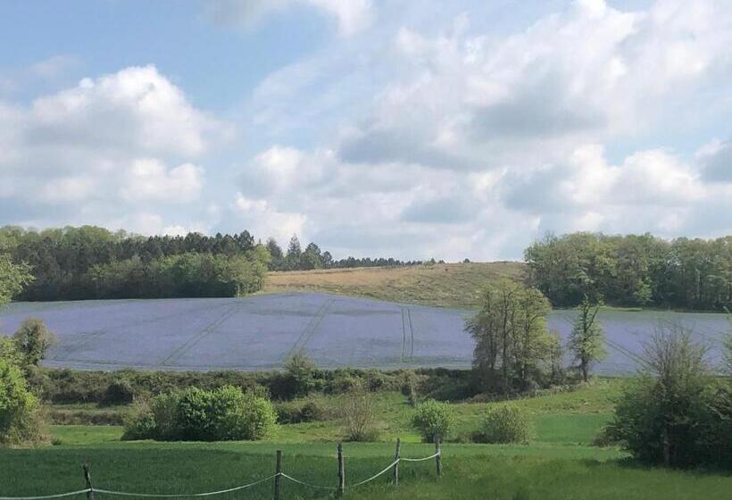Gîte Au Calme Entièrement Rénové