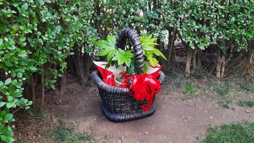 Pension Mariana Guest House