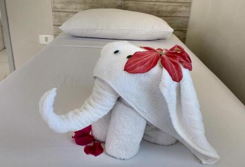 پانسیون Espaço Santa Flora