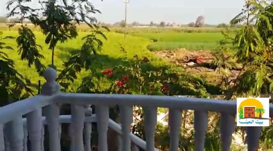 پانسیون Rural Guest House فندق البيت الريفي